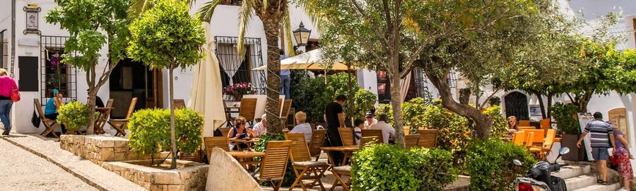 From Valencia: Trip to Guadalest, Altea, and entry to the Algar Waterfalls - Guides and drivers: What the day gets right