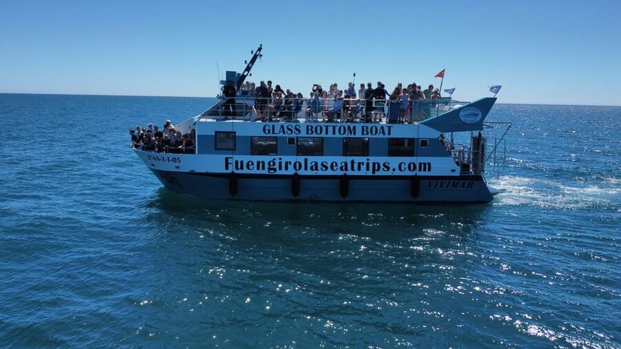 Fuengirola: Catamaran Tour to Spot Dolphins - Key Things I’d Tell You Before You Go