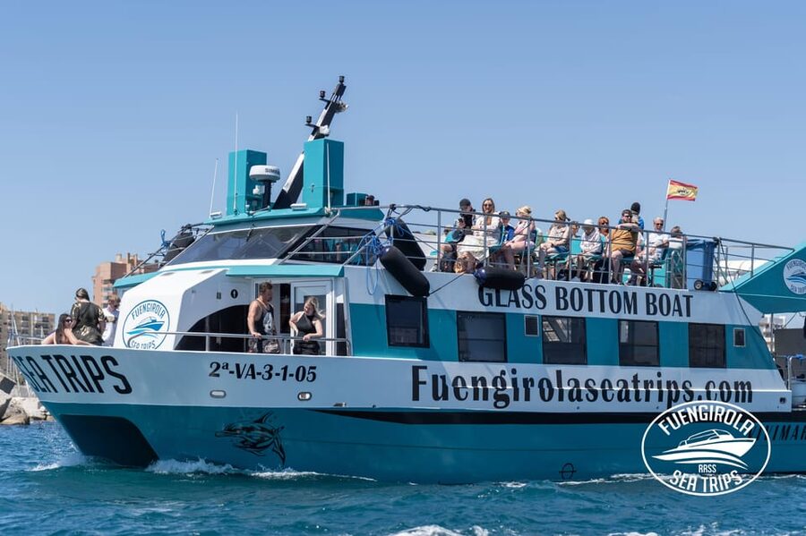 Fuengirola: Catamaran Tour to Spot Dolphins - Getting Onboard: Gate 3 and Dock 3 in Fuengirola