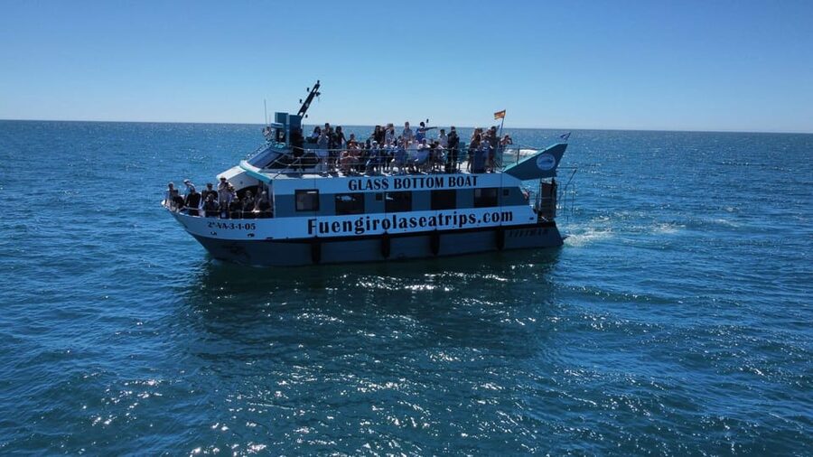 Fuengirola: Catamaran Tour to Spot Dolphins - Dolphin Watching Reality Check: Wild Animals and Motion