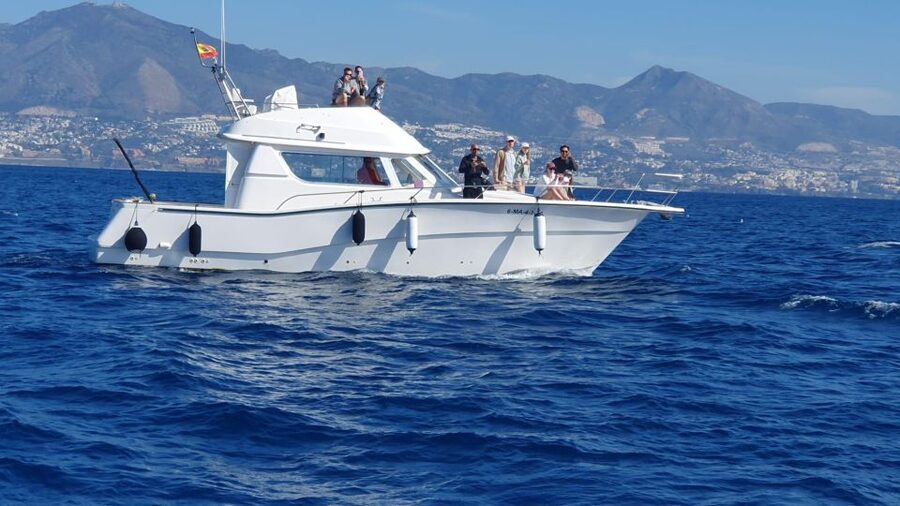Fuengirola: Dolphin Watching Boat Trip — Fun for All Ages - How the crew finds dolphins, and what that means for your expectations