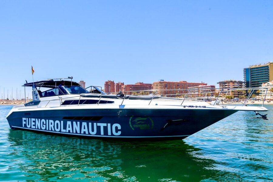 Fuengirola: Dolphin Watching by Yacht with Snacks and Drinks - Key Things to Notice Before You Go