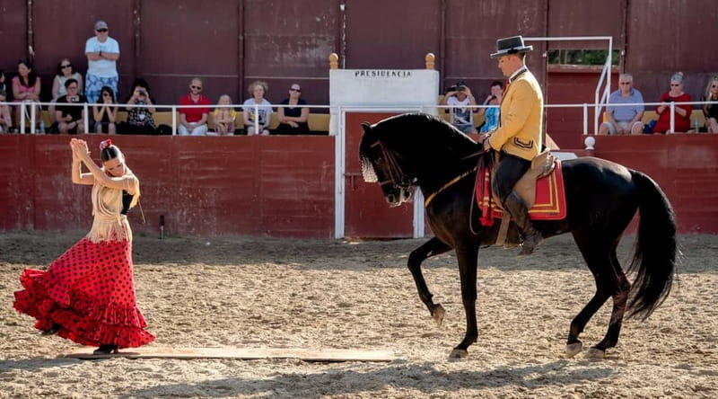 Fuengirola: Spanish Horse Show with Optional Dinner/Flamenco - Key Highlights You’ll Care About