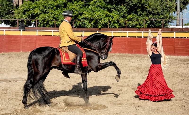 Fuengirola: Spanish Horse Show with Optional Dinner/Flamenco - Finca El Cartujano and the Cartujano Horses