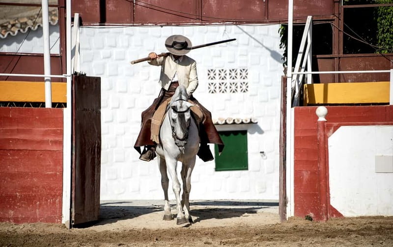 Fuengirola: Spanish Horse Show with Optional Dinner/Flamenco - After the Show, You Meet the Horses and Riders