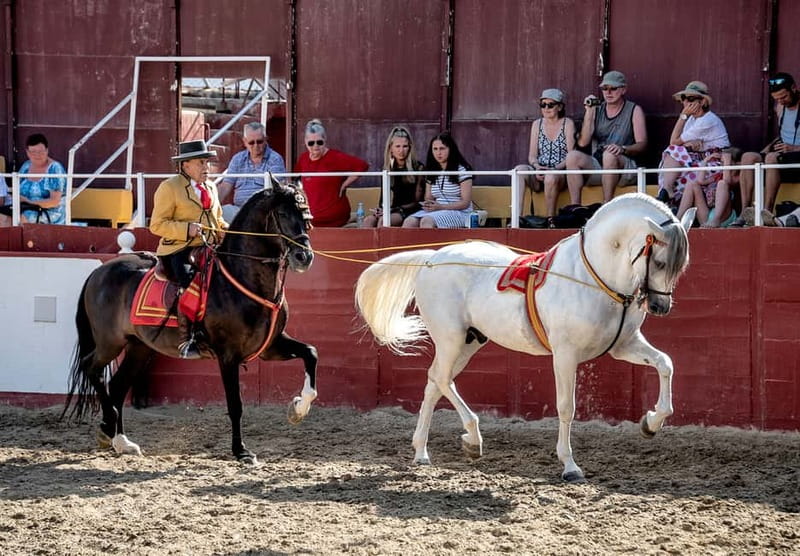 Fuengirola: Spanish Horse Show with Optional Dinner/Flamenco - 19:45 Dinner in the Trophy Room: Paella and More