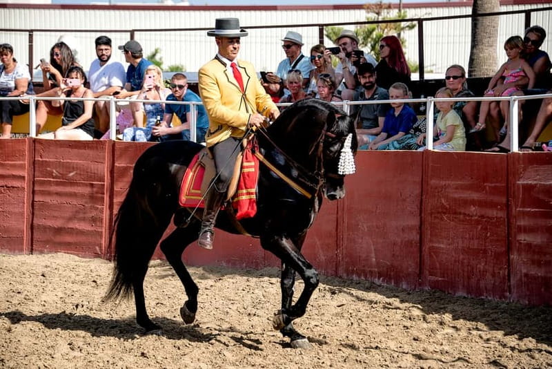 Fuengirola: Spanish Horse Show with Optional Dinner/Flamenco - 21:30 Flamenco: Soleas, Fandangos, and Audience Rumbas
