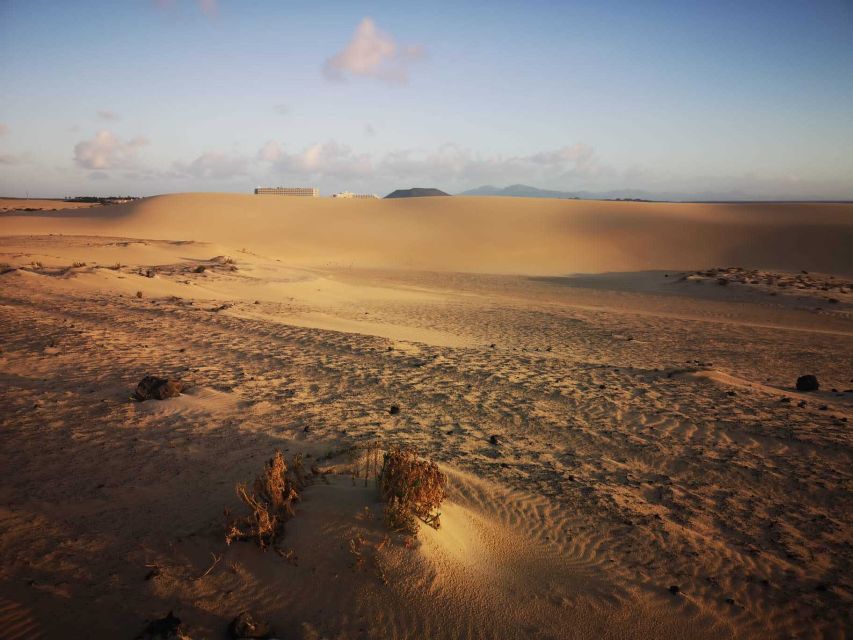 Fuerteventura: Corralejo Sand Dunes Guided Shore Excursion - How to get the most out of your 5 hours