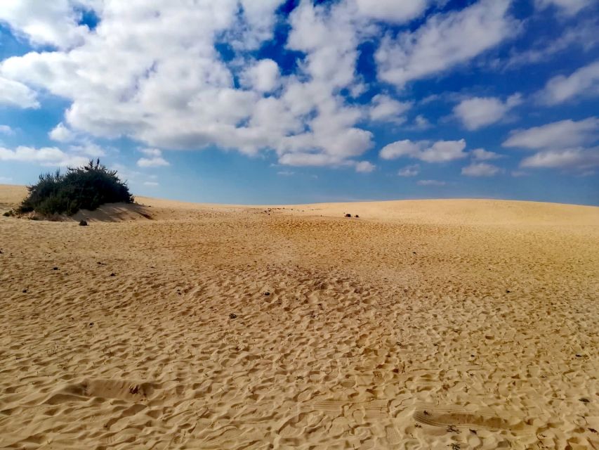 Fuerteventura: Corralejo Sand Dunes Guided Shore Excursion - Price and value: is $23 worth a cruise-day half-day?