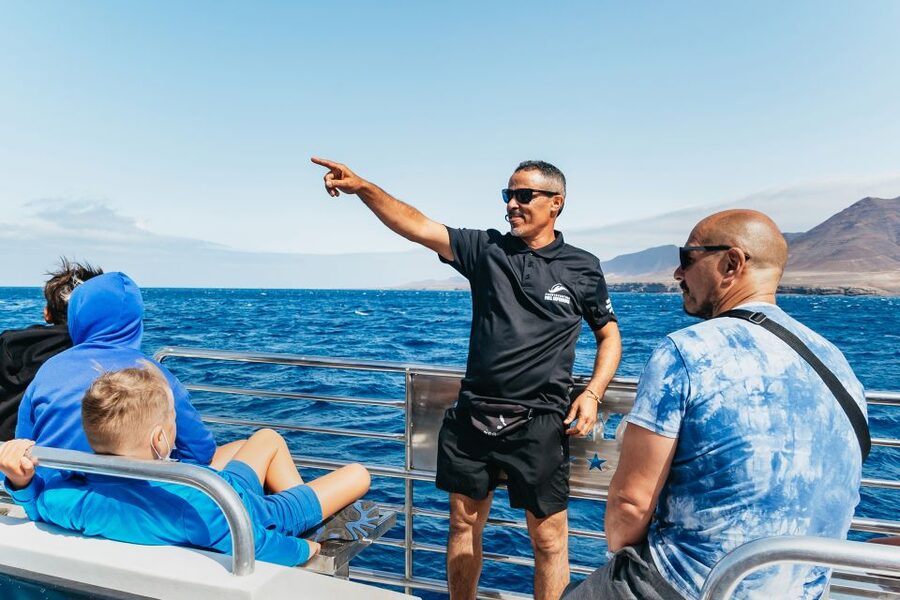 Fuerteventura: Glass Bottom Boat Cruise with Lunch & Drinks - Price and Value at $88 for 4 Hours: Is It Worth It?