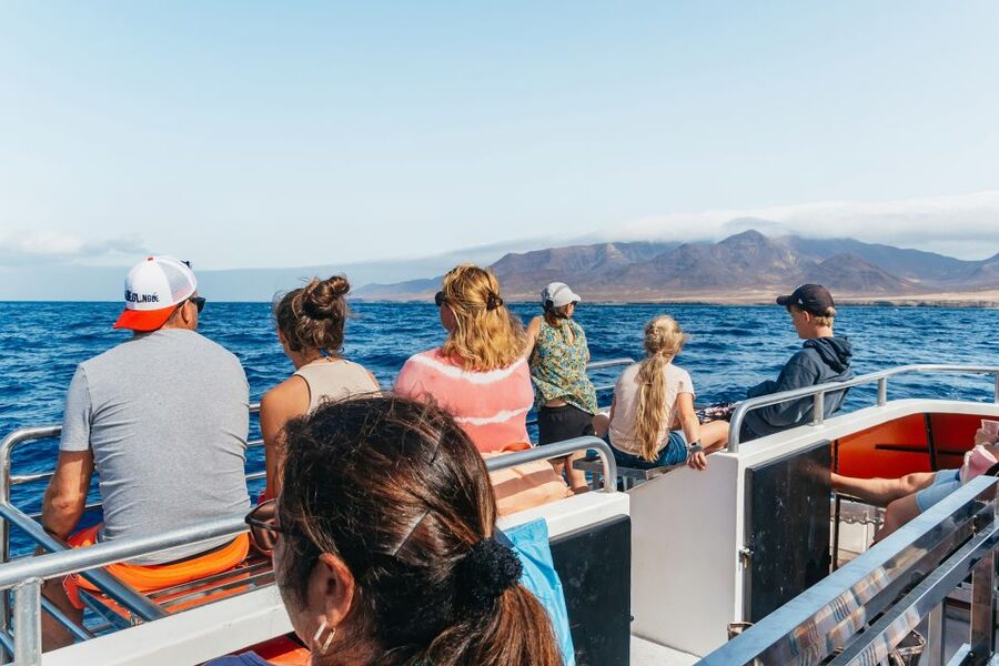 Fuerteventura: Glass Bottom Boat Cruise with Lunch & Drinks - Wildlife Search in Jandía Natural Park: What You Can Expect, and What You Should Not Assume