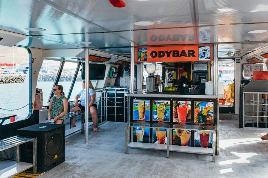 Fuerteventura: Glass Bottom Boat Cruise with Lunch & Drinks - The Crew Energy: How the Trip Feels Like a Real Day Out