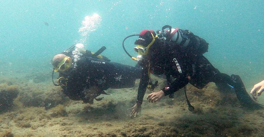 Fuerteventura: Introduction to Scuba Diving - Key Highlights You’ll Care About