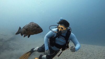 Introduction to Scuba Diving