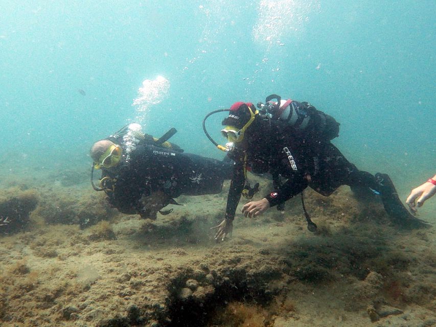 Fuerteventura: Introduction to Scuba Diving - The Short Trip to La Lajita and What Changes at the Beach