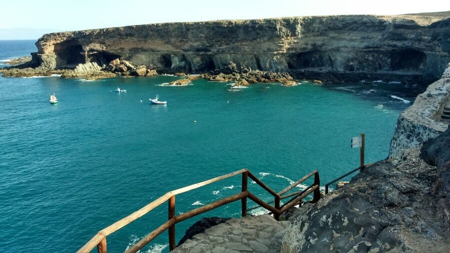 Fuerteventura: Island Tour by Minibus - Aloe vera farm and goat cheese production: food culture with a trail you can follow