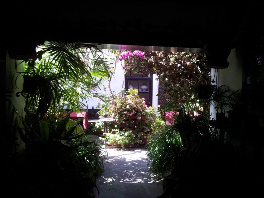 Fuerteventura: Island Tour by Minibus - Betancuria tapas stop: choosing your own local flavors