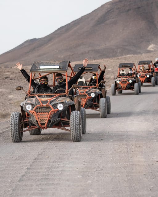 Fuerteventura: Jandía Natural Park & The Puertito Buggy Tour - Price and Value: Is $165 for Up to Two Worth It?