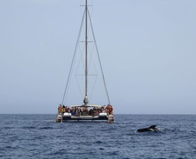 Magic Catamaran Trip with Food and Drinks
