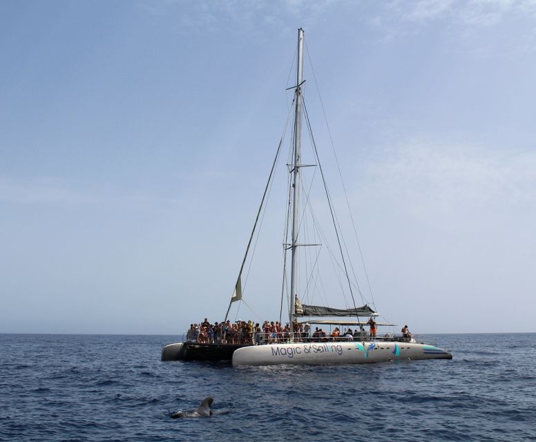 Fuerteventura: Magic Catamaran Trip with Food and Drinks - Lunch on board and the open bar that actually helps the budget
