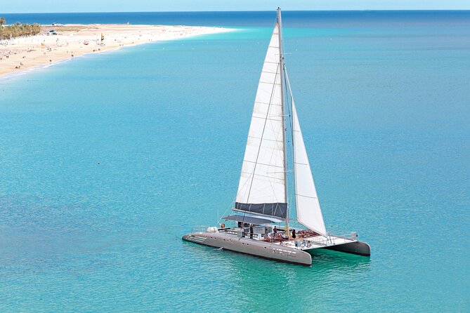 Fuerteventura: Magic Select Catamaran Trip with Food & Drinks - The 4-hour flow: sail setup, wildlife search, and the south-coast swim