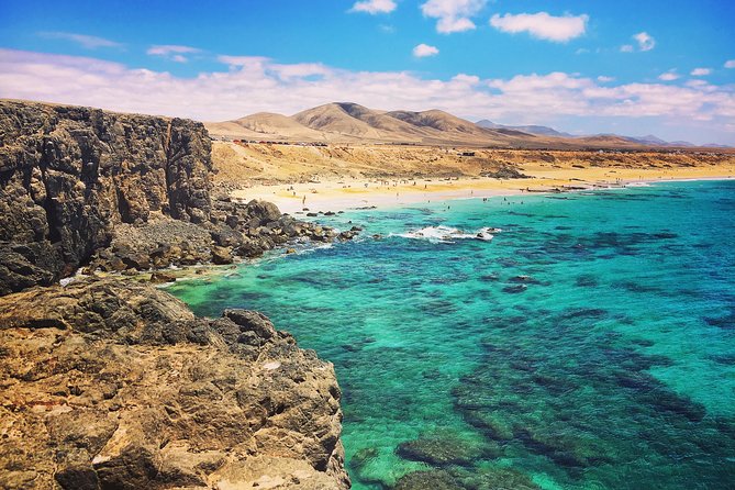 Fuerteventura North Exclusive Tour - Finca Canarias Aloe Vera: Demo, Trial, and Buying If You Want