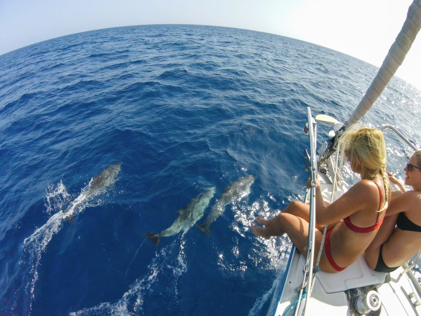 Fuerteventura: Sailing with Snorkeling and Dolphin Watching - Should You Book This Tour?