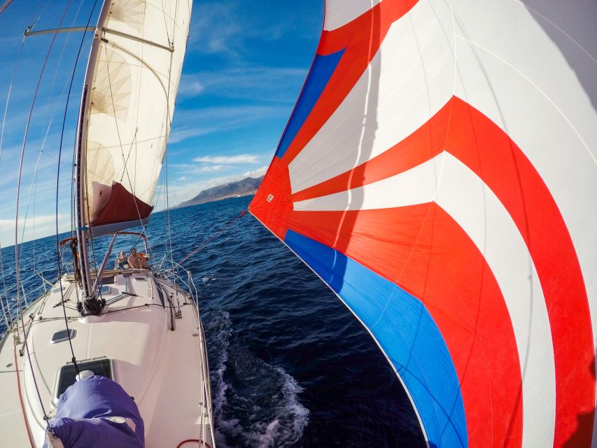 Fuerteventura: Sailing with Snorkeling and Dolphin Watching - Price and What You Actually Get for Around $104