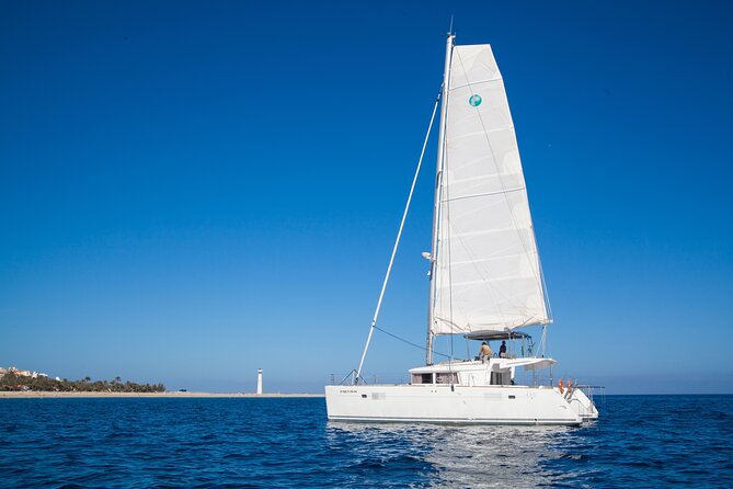 Fuerteventura: Small-Group Magic Deluxe Catamaran Cruise - Price and value for a drink-and-food included sailing day