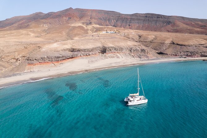 Fuerteventura: Small-Group Magic Deluxe Catamaran Cruise - Should you book Magic Deluxe for your Fuerteventura day at sea?
