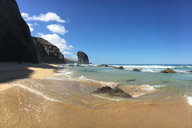 Fuerteventura South Exclusive Tour - Key things that make this tour work