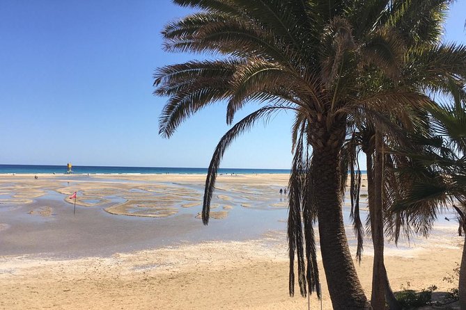 Fuerteventura South Exclusive Tour - Mirador Guise y Ayose: Quick Panoramas Without the Hassle