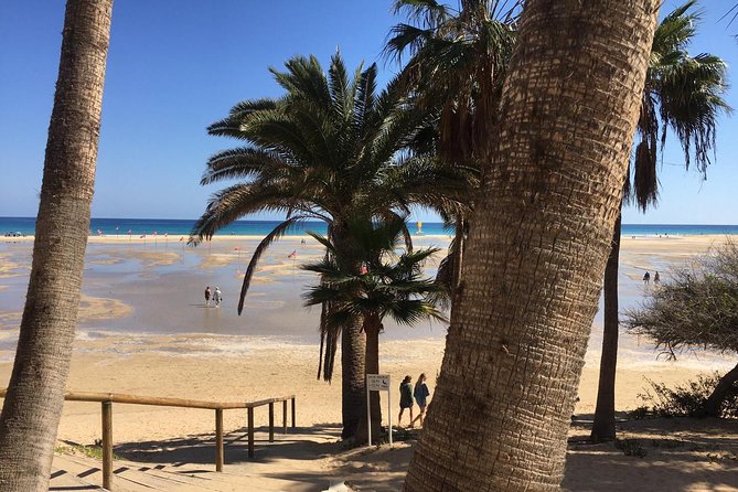 Fuerteventura South Exclusive Tour - Ajuy Natural Caves and Black Beach Time in a Fishing Village