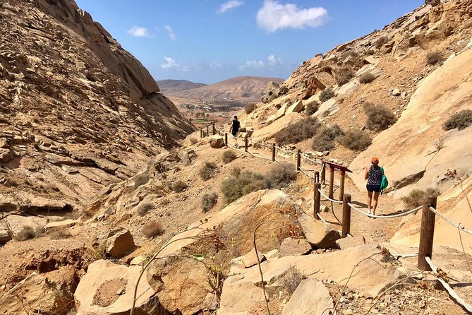 Fuerteventura South Exclusive Tour - Price and Value: What You’re Paying For Beyond Seats in a Van