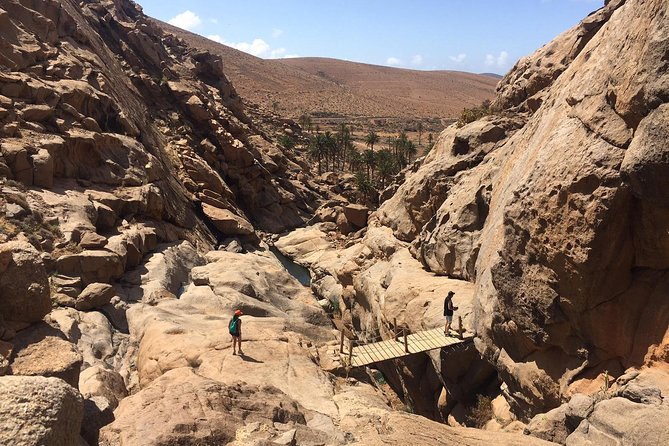 Fuerteventura South Exclusive Tour - Pozo Negro Goat Cheese Farm: Queso Majorero Tasting Time