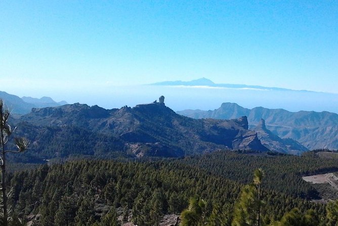 Full Day Across the Island Tour from Las Palmas - Fataga: Palm-Filled Canyon Village and Lunch Time You Can Actually Use