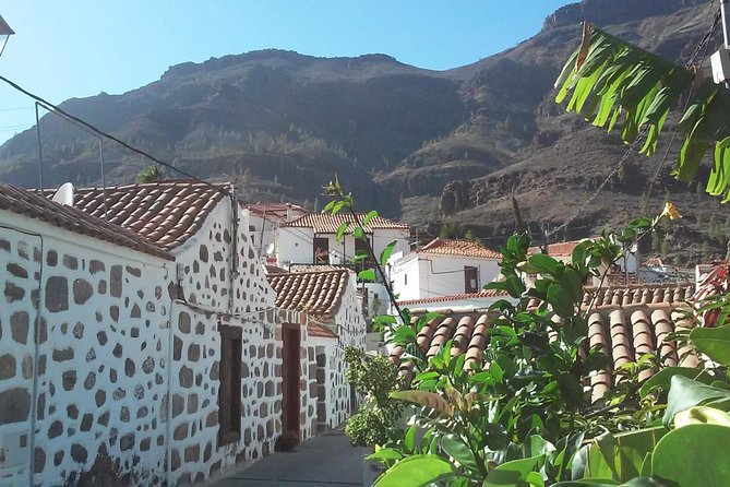 Full Day Across the Island Tour from Las Palmas - Maspalomas Dunes: A 45-Minute Wander at Charco de Maspalomas