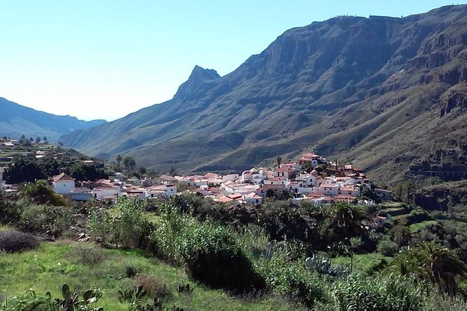 Full Day Across the Island Tour from Las Palmas - Price and Logistics: What $55.63 Really Buys You