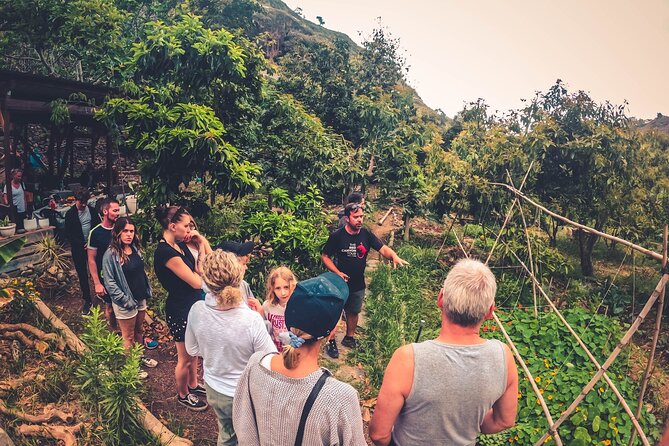 Full Day Rainforest Tour with Tasting and Swimming Time ツ - The small-group format and pickup timing that matter
