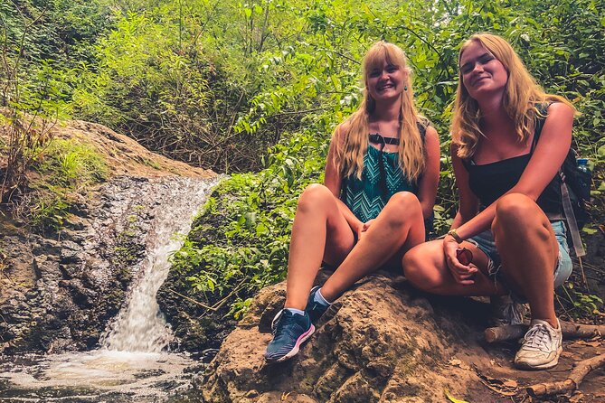 Full Day Rainforest Tour with Tasting and Swimming Time ツ - Photos, insurance, and the guide touch