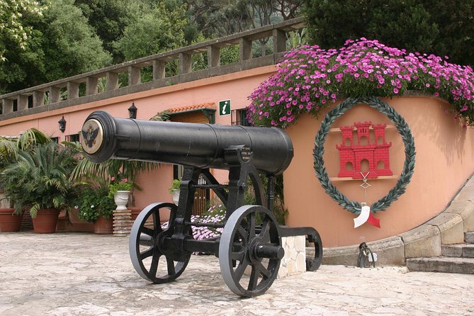 Gibraltar Express: Sightseeing Full Day Tour from Costa del Sol - Key Highlights You Should Actually Care About