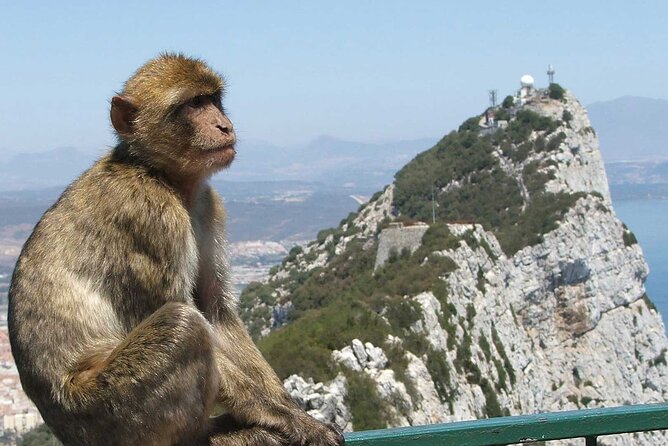Gibraltar with St Michael Caves Guided Tour from Costa del Sol - St Michael’s Cave: A Natural Auditorium With Included Entry