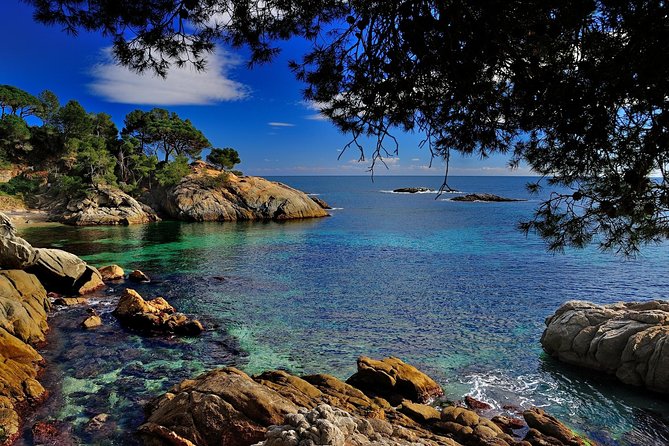Girona & Costa Brava Private Tour and Hotel Pickup from Barcelona - Picking the Right Day, and Picking the Right Priorities