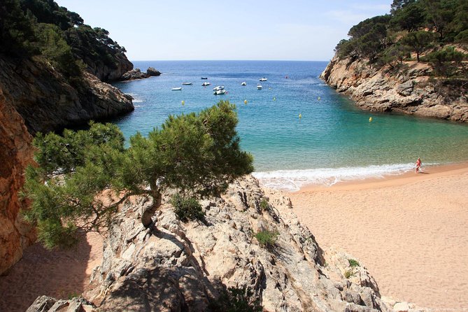 Girona & Costa Brava Small-Group Tour with Pickup from Barcelona - Calella de Palafrugell and the Costa Brava coast you can actually use