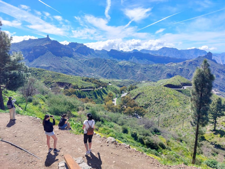 Gran Canaria 7 Highlights Small Group Tour with Tapas Picnic - The tapas picnic in a pine forest, a real break