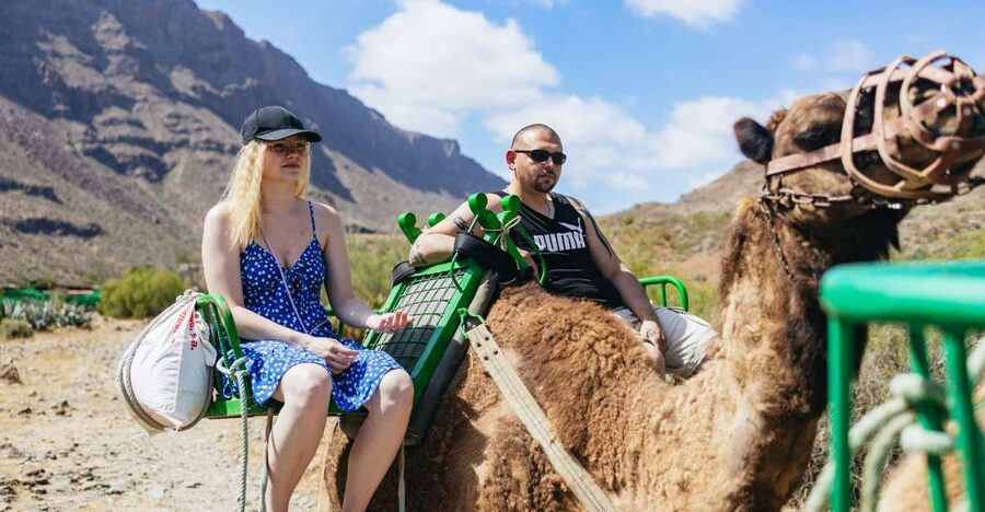 Gran Canaria: Camel Ride Safari w/ Optional Food & Transport - Feeding animals and walking the tropical gardens: where the day gets personal