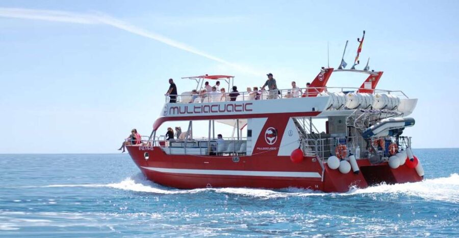 Gran Canaria: Dolphin and Whale Watching Cruise - What the crew actually does to find dolphins, and how close you can get