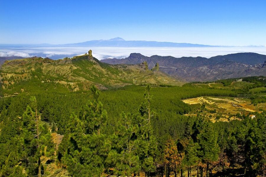 Gran Canaria: Full-Day VIP Tour by Bus - Roque Nublo and the volcanic core of the island