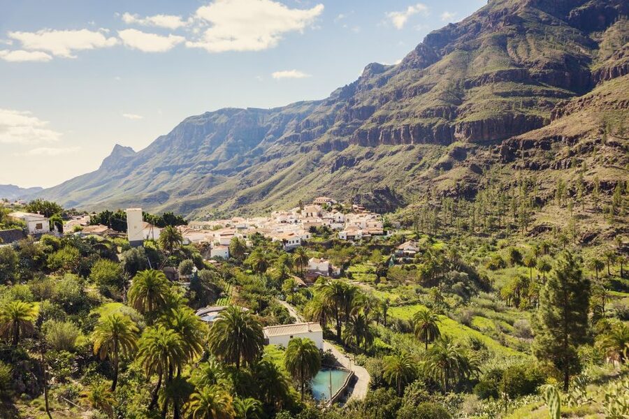 Gran Canaria: Full-Day VIP Tour by Bus - Valley of a Thousand Pine Trees, plus farm life in the green interior