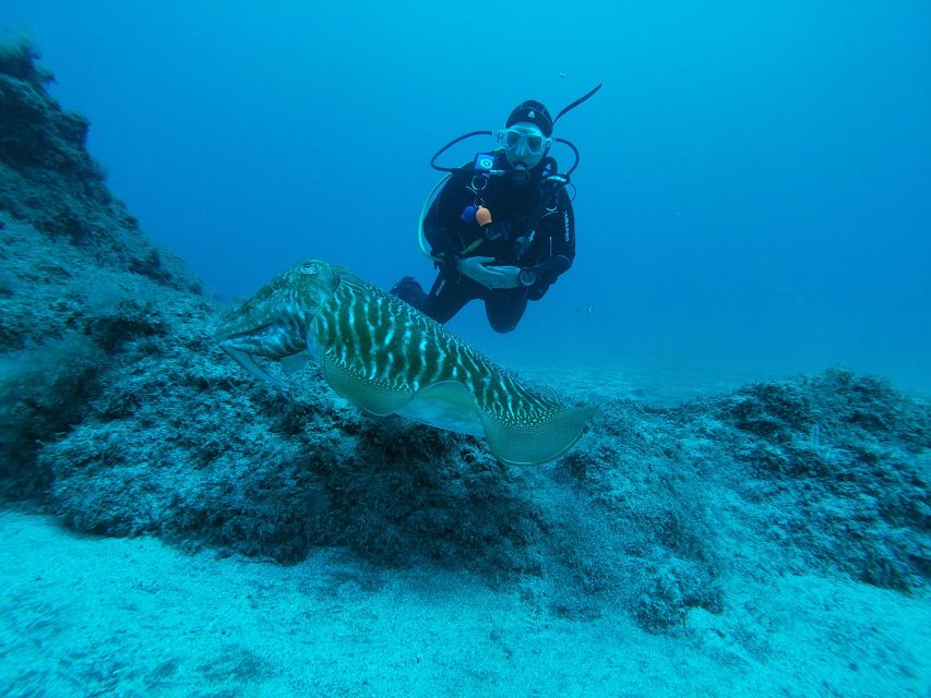 Gran Canaria: Try Scuba Diving for Beginners - Gear up without drama, then practise in shallow water